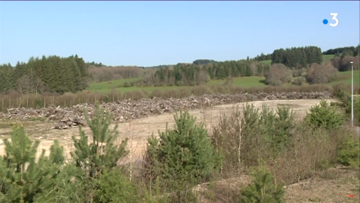 Un méga projet d'usine à biomasse abandonné dans le Limousin