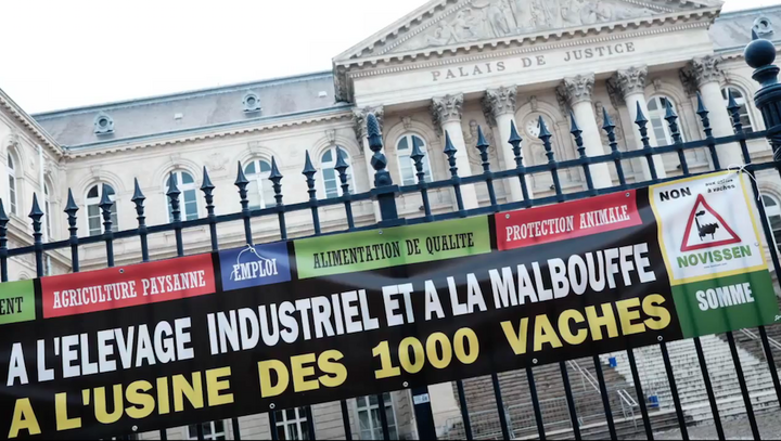 Le tribunal administratif absout les illégalités de la ferme-usine des Mille vaches