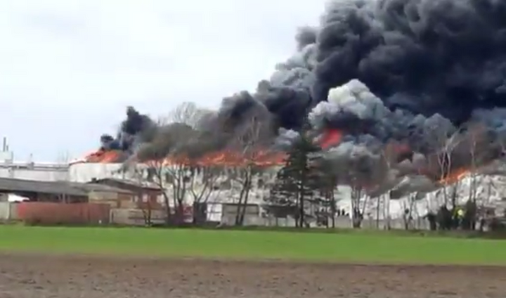 Un incendie ravage en Allemagne un immense abattoir industriel de volailles 