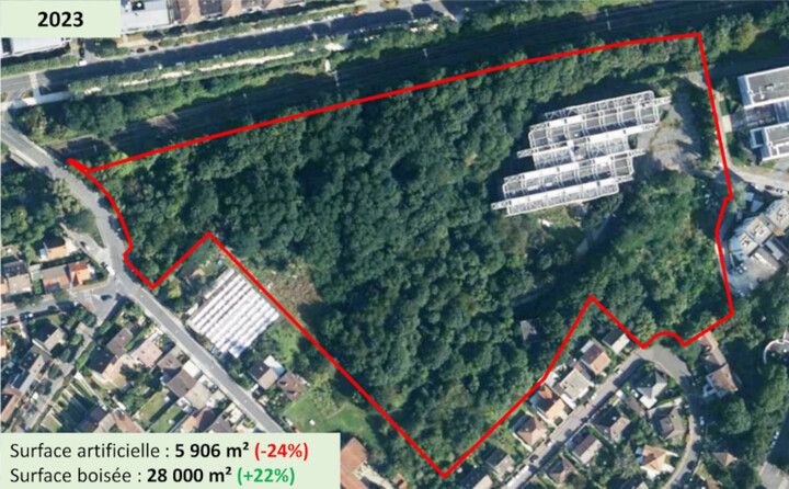 <span class="caps">BNP</span> Paribas Immobilier renonce à raser une forêt pour construire des logements