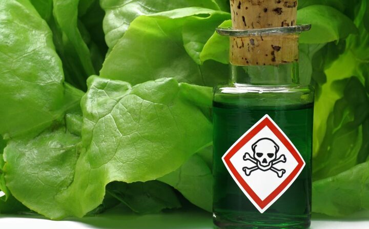 Les pesticides, ni dans la terre ni dans nos assiettes<small class="fine d-inline"> </small>! table ronde à Paris