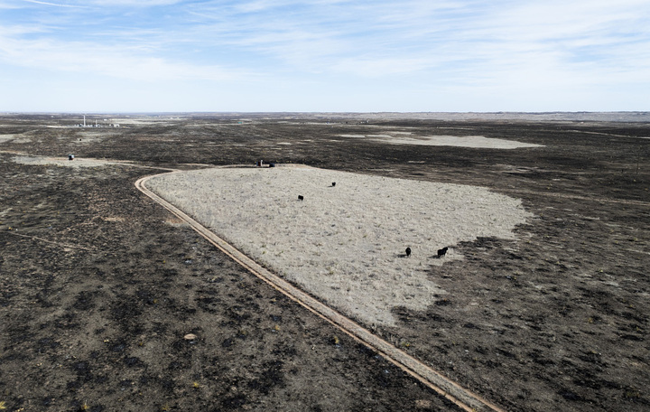 Le gigantesque incendie au Texas est dû au changement climatique