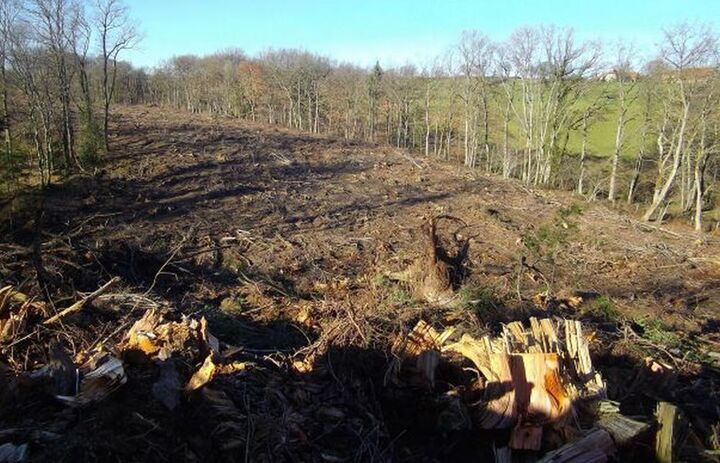 En Auvergne, un absurde projet de golf dévore des terres agricoles