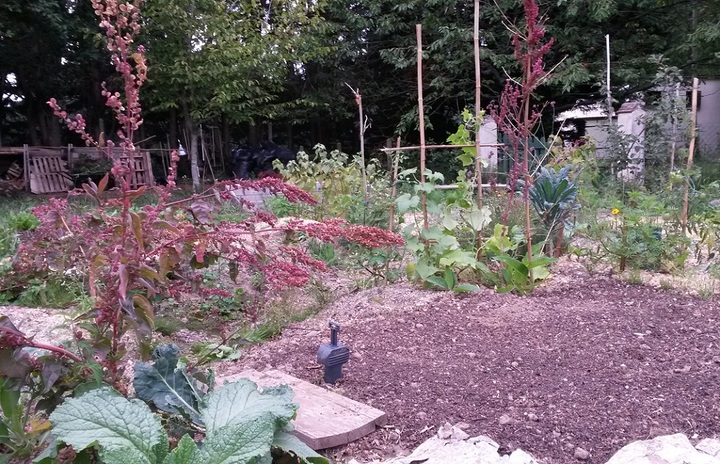 Le jardin sans pétrole - Quand les mots s'épanouissent dans les fleurs