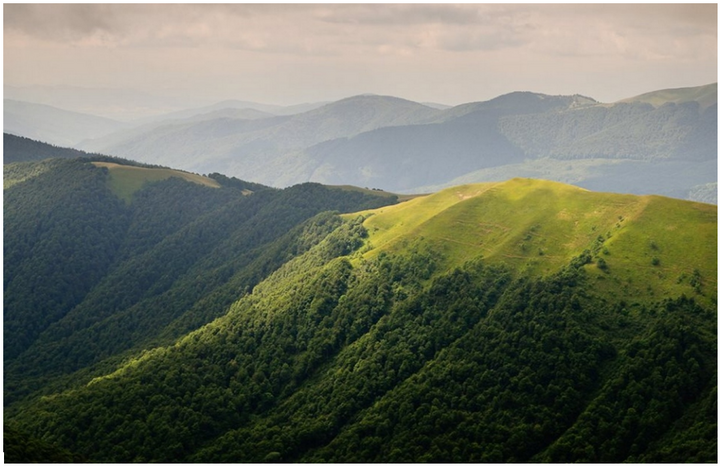En Ukraine, 1.400 ha de forêts menacés par une méga-station de ski 
