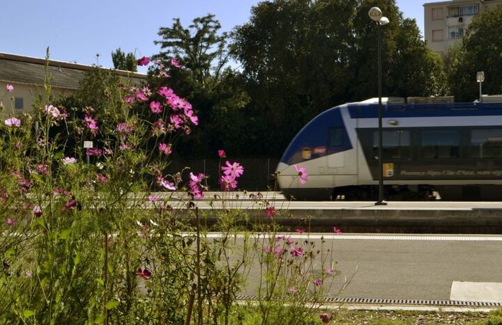 Derrière les rails de la gare d'Aix, le potager prospère