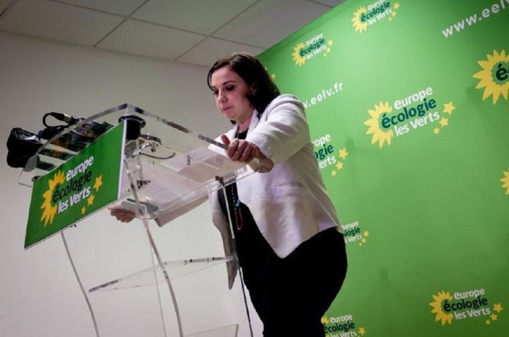 Elections : <span class="caps">EELV</span> dépité, Parti de gauche rassuré