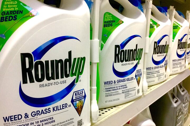Glyphosate : Bayer prévoit 1,7 milliard d'euros pour faire face à des actions en justice