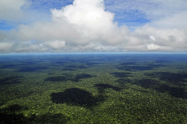 Le Brésil prend un tournant négatif sur l'environnement et la déforestation