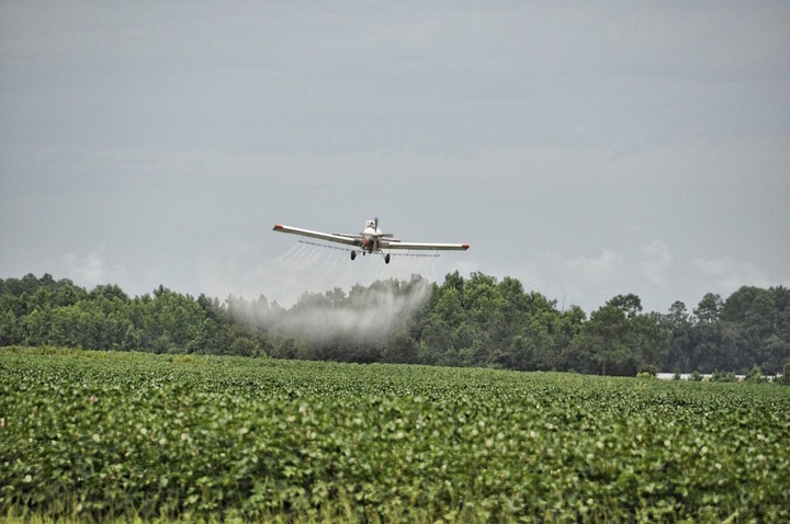 La lutte contre la hausse de consommation des pesticides a échoué