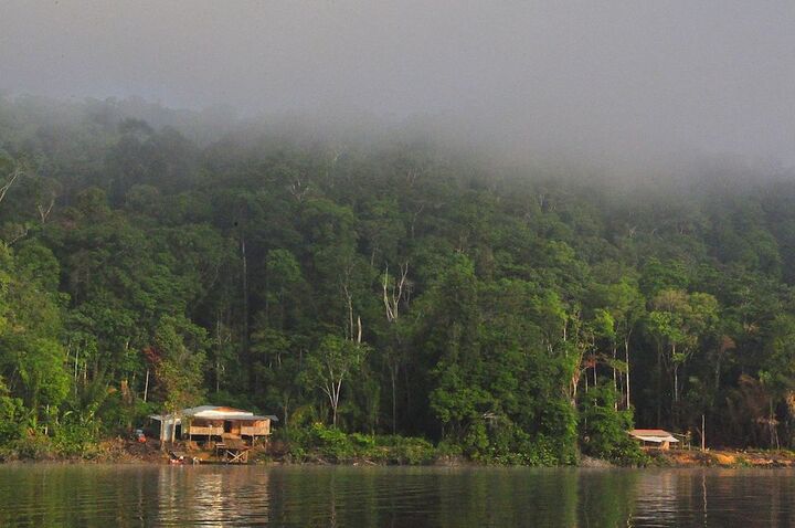 Le potentiel de développement durable de la Guyane n'est pas dans l'or