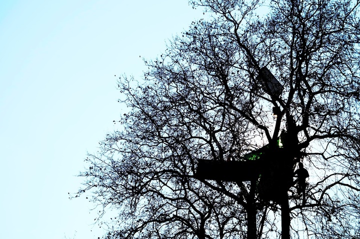 Cabanes et hamacs : une nouvelle zad résiste à l'A69