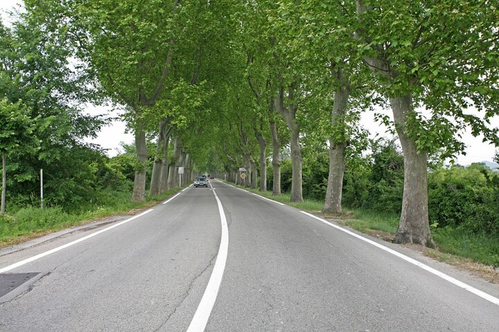 Routes : la majorité des projets ne respectent pas le droit de l'environnement