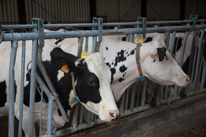 «<small class="fine d-inline"> </small>On pensait pouvoir échapper à ce type d'événements<small class="fine d-inline"> </small>» : l'agriculture dans le flou face à la canicule