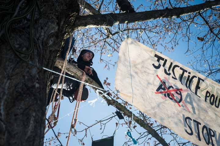 Contre l'A69, ils occupent des arbres devant la Cour européenne des droits de l'Homme