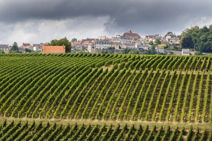 Cancer, Parkinson... 523 malades des pesticides indemnisés en 2023