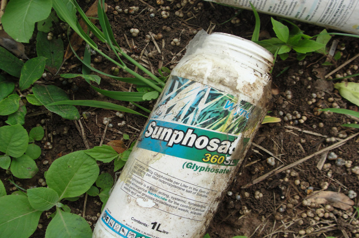 Un rapport sur le glyphosate enterré pendant 8 ans