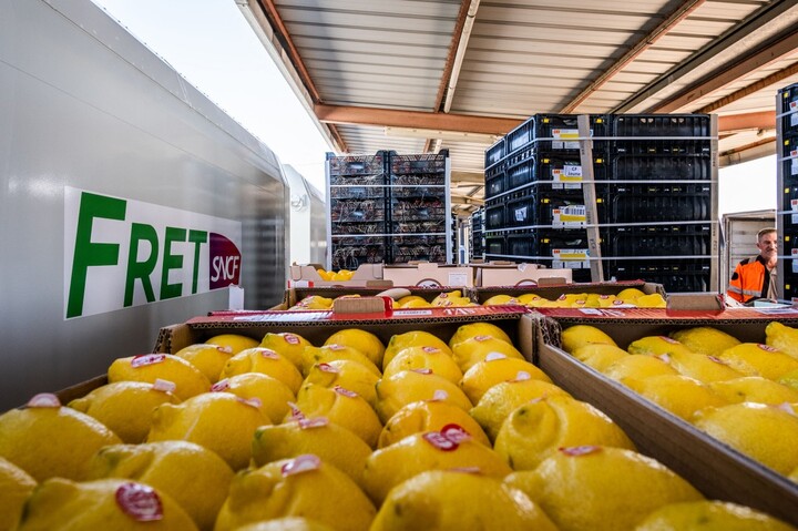 Marché de Rungis : vers la disparition définitive du «<small class="fine d-inline"> </small>train des primeurs<small class="fine d-inline"> </small>»
