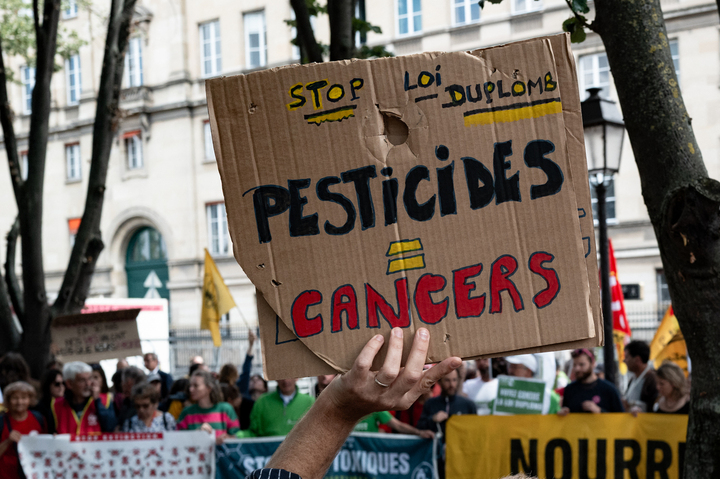 Loi Duplomb : la réintroduction de l'acétamipride censurée par le Conseil constitutionnel