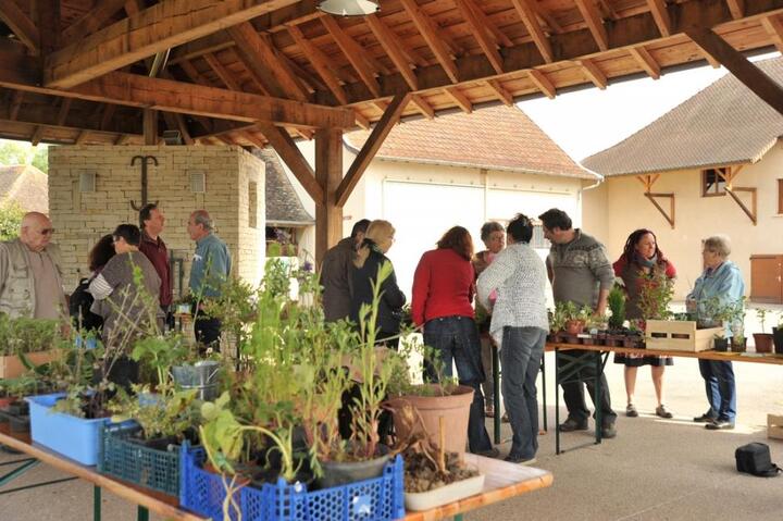 6<sup class="typo_exposants">e</sup> Troc aux plantes du Bouchage (Isère)