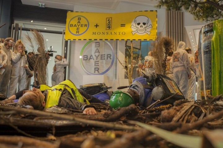 Des activistes ont mené une opération nature morte au siège de Bayer-Monsanto