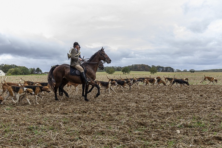 Quand les chasseurs sont chassés : une journée avec des militants anti-chasse à courre