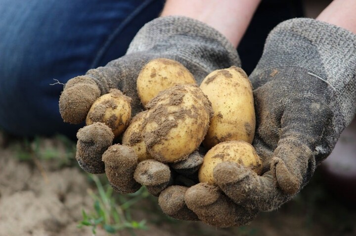 Revenu des agriculteurs : cette loi espagnole pourrait inspirer la France