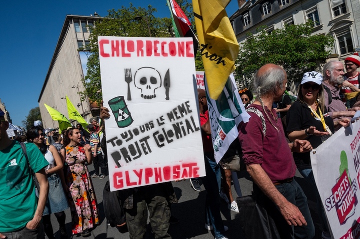 Chlordécone : 500 parties civiles se pourvoient en cassation