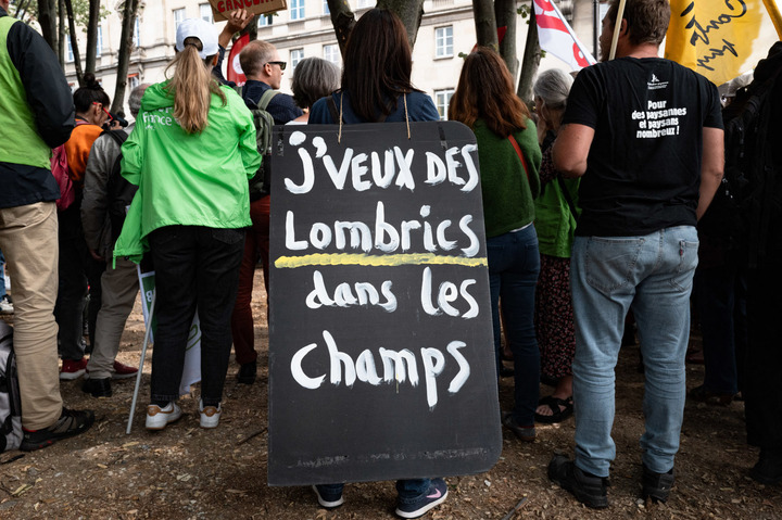 Tout savoir sur l'acétamipride, ce pesticide au cœur de l'opposition à la loi Duplomb