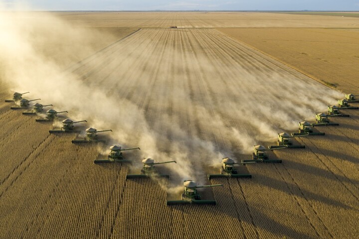 Mercosur : cette agro-industrie qui pourrait inonder l'Europe