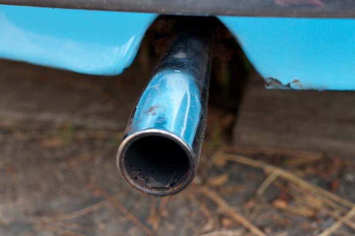 Des métaux rares issus des pots d'échappement contaminent la forêt