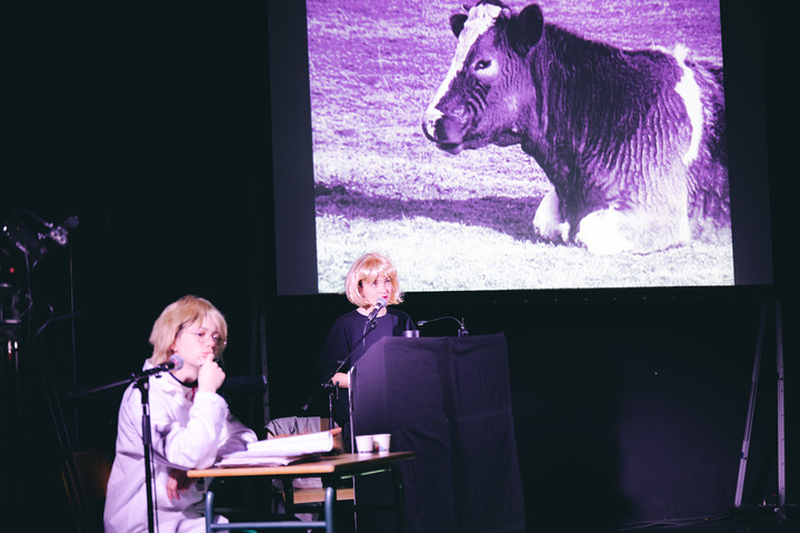 Des élèves paysans confrontés à la souffrance animale