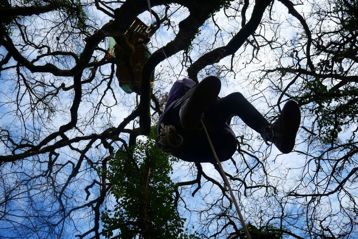 Occuper des arbres, est-ce légitime<small class="fine d-inline"> </small>? Un «<small class="fine d-inline"> </small>écureuil<small class="fine d-inline"> </small>» anti-A69 en procès 