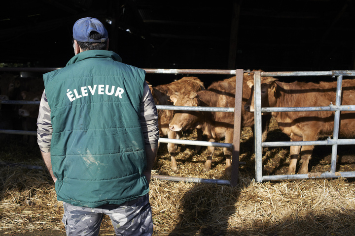Pour L214, «<small class="fine d-inline"> </small>consommer moins de viande serait bénéfique pour les agriculteurs<small class="fine d-inline"> </small>»