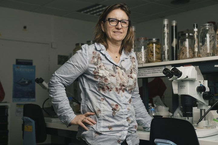 «<small class="fine d-inline"> </small>Ces animaux ont développé des pouvoirs extraordinaires<small class="fine d-inline"> </small>» : plongée dans les abysses avec Marie-Anne Cambon