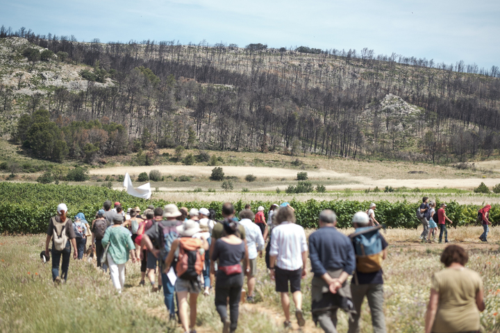 «<small class="fine d-inline"> </small>Des bombes potentielles à moins de 1 km du village<small class="fine d-inline"> </small>» : les mégaprojets photovoltaïques inquiètent dans l'Aude