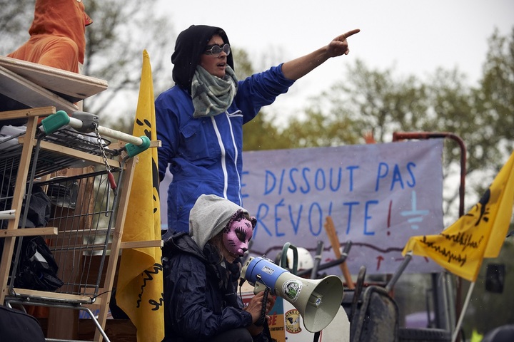 Voici le mois de lézard, où germent le printemps et les luttes
