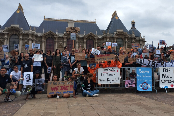 Rassemblements pour Paul Watson : «<small class="fine d-inline"> </small>15 ans de prison<small class="fine d-inline"> </small>! C'est le remerciement pour sauver des vies<small class="fine d-inline"> </small>?<small class="fine d-inline"> </small>»