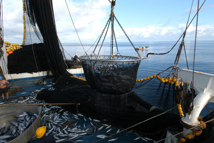 Pêche : 1<small class="fine d-inline"> </small>% des bateaux responsables de 29<small class="fine d-inline"> </small>% des émissions du secteur