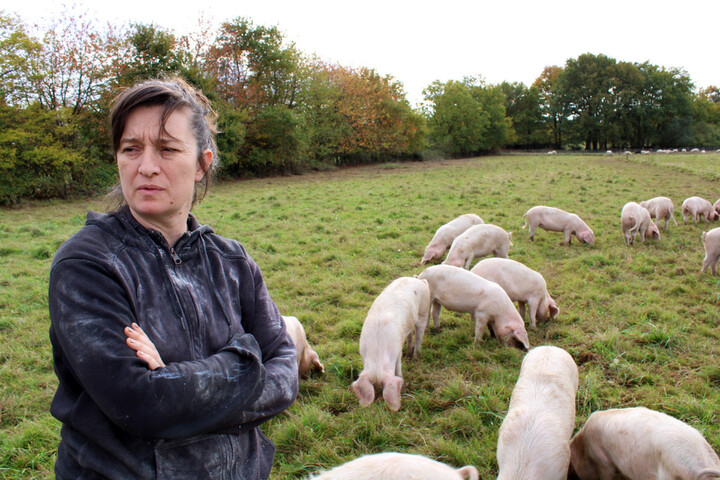 Ces éleveurs refusent que leurs cochons servent l'extrême droite