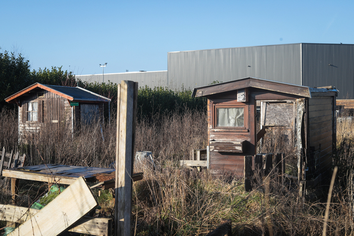 Terminé les jardins partagés, la mairie de Tourcoing veut un centre commercial