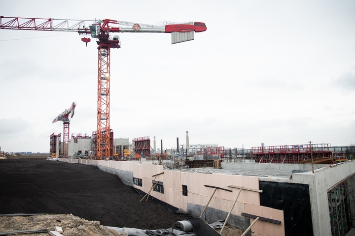 Les destructions d'espèces protégées facilitées par un projet de loi