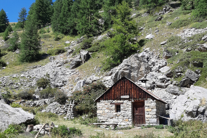 Vivre en cabane, une résistance poétique