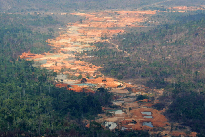 Balenciaga, Gucci... Des cuirs de luxe proviennent du ravage de l'Amazonie