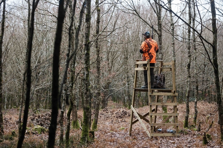 Chasse : 4 morts au cours de la saison 2025-2026