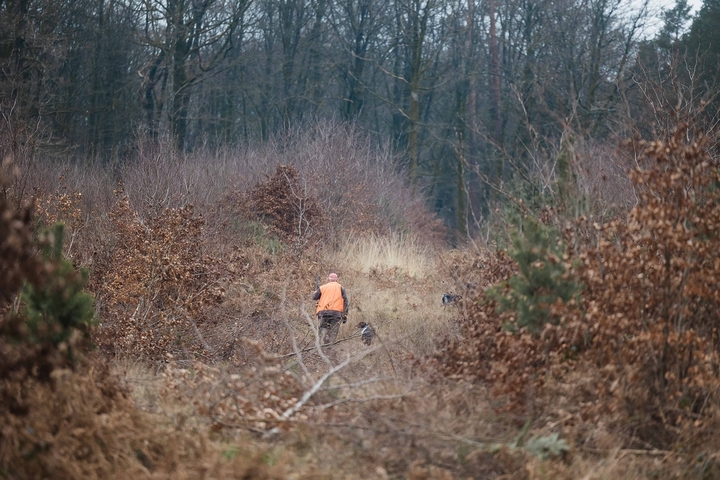 Morts de la chasse : deux collectifs envoient l'État au tribunal