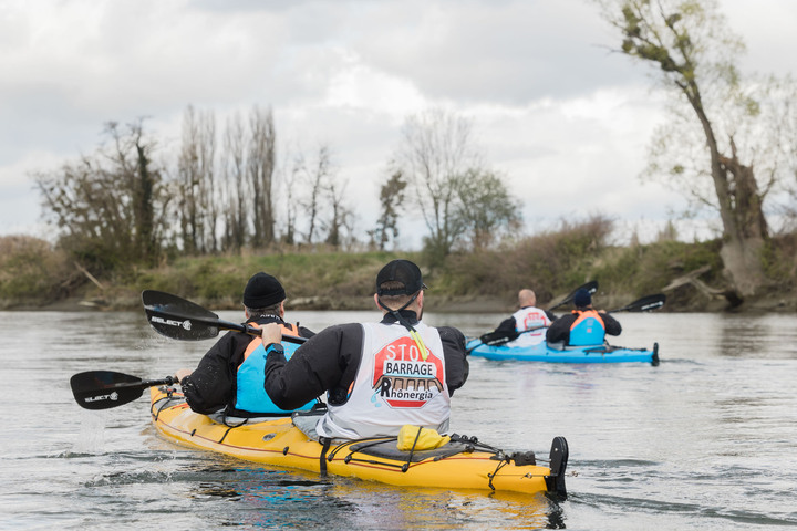 Castors, cormorans... Le dernier tronçon sauvage du Rhône bientôt détruit<small class="fine d-inline"> </small>?