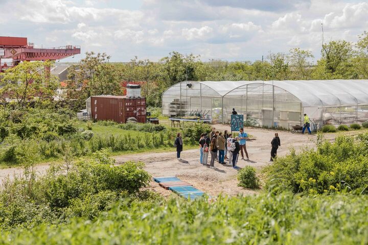 Près de Paris, des fleurs et du compost pour dépolluer les sols