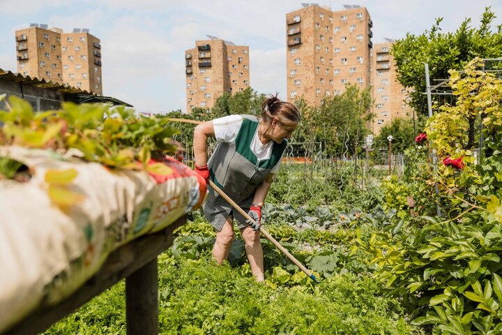Contre les tractopelles, les jardins populaires entrent en résistance