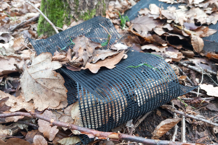 Des tonnes de plastique souillent les forêts des Yvelines